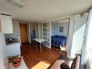 Departamento amoblado cercano al metro y central - 1