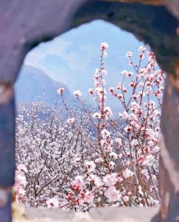 Qiran·Rustic Rutal Resort Villa (Mutianyu Great Wall Branch） - 5