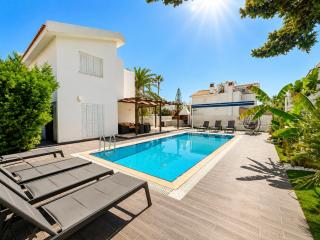 Villa Aleksandar - 5