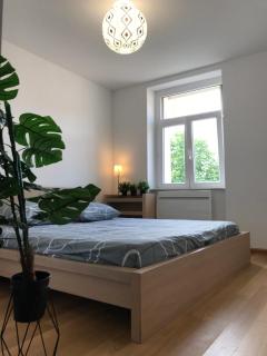 Flat Huningue, free parking, tram & bus to Basel - 4