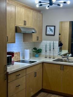 Brownsville Studio Near SpaceX Pet-Friendly - 4