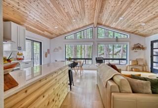 Forest Cabin Retreat - Dog Friendly - Hot Tub - 3