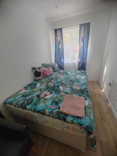 Veggie single room NEC - 0