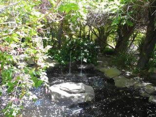 Fairy Hill Sanctuary -  - 2