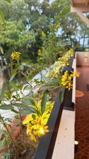 Sivora Hills Luxury Retreat - 5