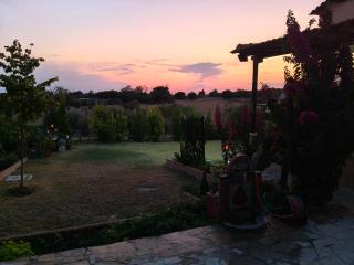The Bougainvillea villa - 7