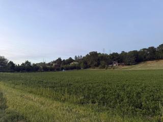 JM Garden Studio - 3