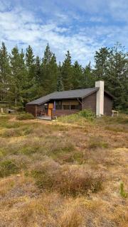 Traditional summer cottage near Bratten beach - 9
