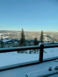 Mountain cabin with panoramic view of Jotunheim - 9