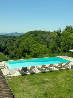 House with sweeping vineyard views in Piedmont - 9