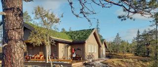 Cozy traditional cabin in Veggli - 5