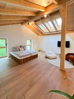 Loft with exposed roof timbers Bavarian Forest - 1