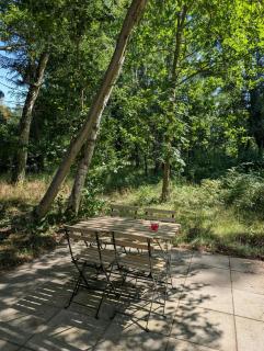 Modern oasis in the middle of the forest in Rorvig - 8