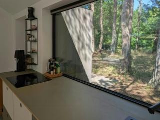 Modern oasis in the middle of the forest in Rorvig - 3