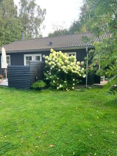 Charming and classic summer idyll near Gilleleje - 9