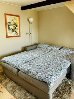 Guest house among the apple orchards in Kivik - 2