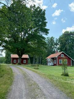 18th century cottage in private forest - 9