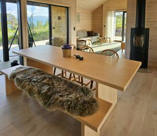 Modern cabin near Trollheimen National Park - 3