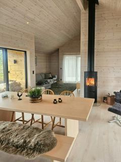 Modern cabin near Trollheimen National Park - 2