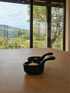 Modern cabin near Trollheimen National Park - 4