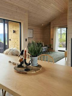 Modern cabin near Trollheimen National Park - 1