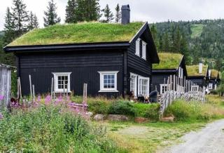 Cabin in Uvdal with ski trails on the doorstep - 6