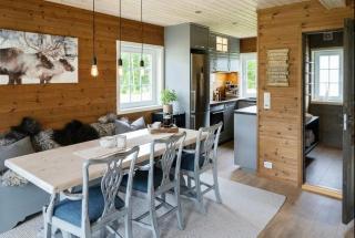 Cabin in Uvdal with ski trails on the doorstep - 3
