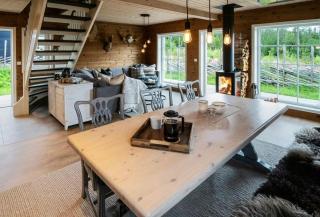 Cabin in Uvdal with ski trails on the doorstep - 1