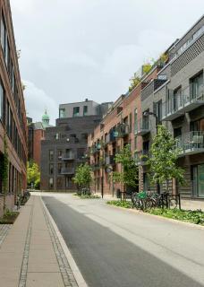 Bright flat by the Elephant Gate in Carlsberg City - 9