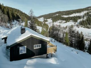 Cozy cabin with warm designs in Etnedal - 0