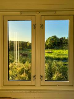 Micro house in a rose garden on a smallholding - 4