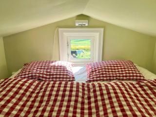 Micro house in a rose garden on a smallholding - 2