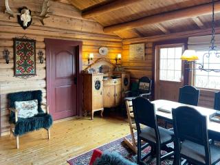 Charming mountain cabin near Hemsedal - 2