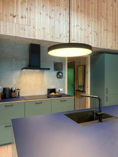 Architect-designed timber house amid birch trees - 6