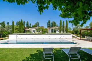 Villa among vineyards with pool near Conero - 0