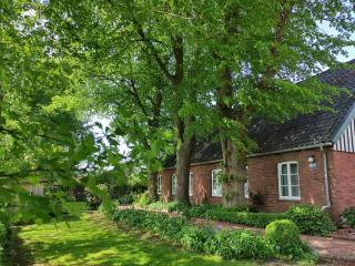 Country estate with organ and library near Stade - 8