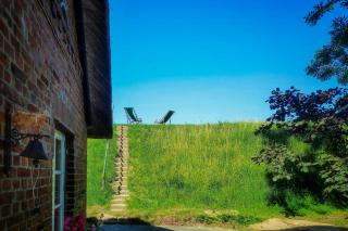Thatched cottage with private dike on the Elbe - 9