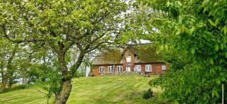 Thatched cottage near the North Sea - 0