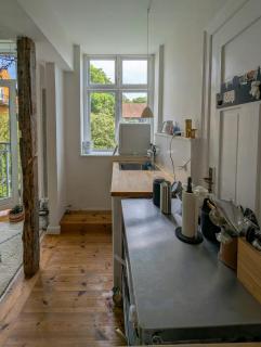 Historic flat with garden and French balcony - 2