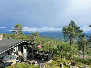 Mountain cabin by ski trails in southern Blefjell - 0