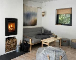 Beach house at Dueodde with artistic atmosphere - 4