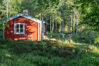The cabin in Hogarp for a life close to nature - 9