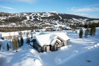 Timber cabin with ski slope and sauna - 9