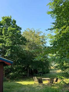 60s log cabin in peaceful nature in Djursland - 7