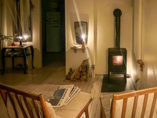 Cozy cottage surrounded by forest and nature - 3