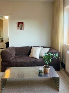 Top-floor flat with views over Oslo and Ostmarka - 0