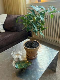 Top-floor flat with views over Oslo and Ostmarka - 4