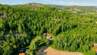 Warm Wooden Home with Piano Deer & Forest Trails - 9