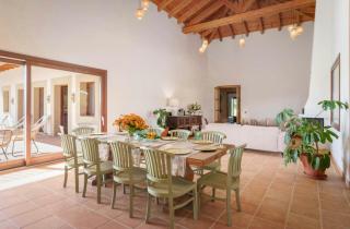 Border design estate with historic olive grove - 5