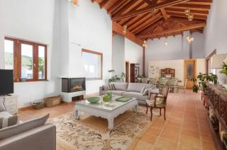 Border design estate with historic olive grove - 2